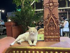 -瑞丽觉觉味道·异国风情(瑞丽大道店)