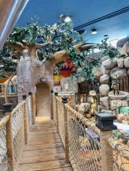 -卡通尼·Safari非洲探索乐园·生日会(金桥国际商业广场店)