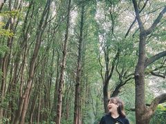 -同里国家湿地公园