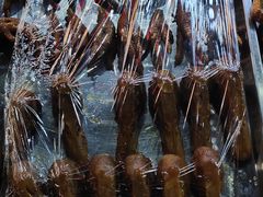 -火山烧烤(黄泥磅店)