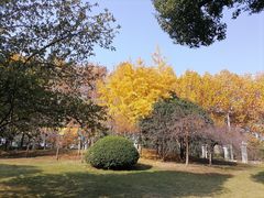 -堤角公园