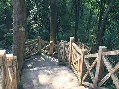 -广州市帽峰山景区