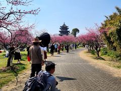 -上海海湾国家森林公园