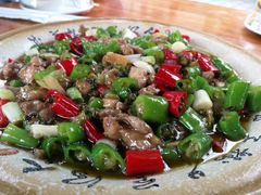 -青城甲(青城山店)