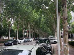 -河南财经政法大学(郑东校区)