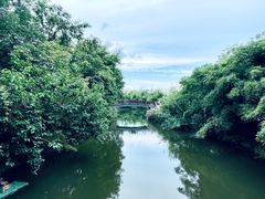 -西溪国家湿地公园