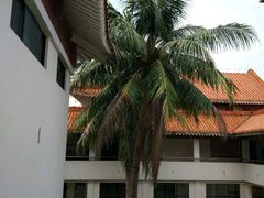 -海口市博物馆