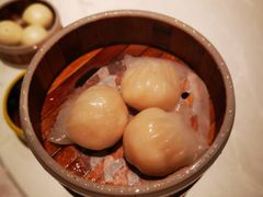 -金香匯晚茶(浑南店)