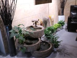-三只熊皮肤管理中心