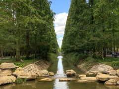 -东平国家森林公园