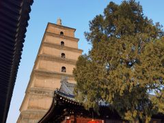 -大慈恩寺(大雁塔)