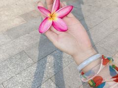 -布吉佳兆业广场