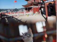 -乌蒙大草原