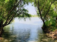 -长兴太湖图影湿地文化园