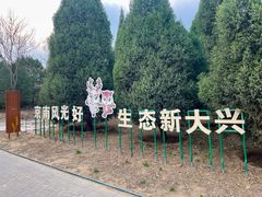 -大兴滨河森林公园