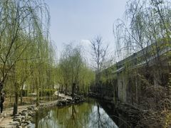 -大悲禅寺
