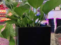 -米乐星世界KTV(汇智国际商业中心店)