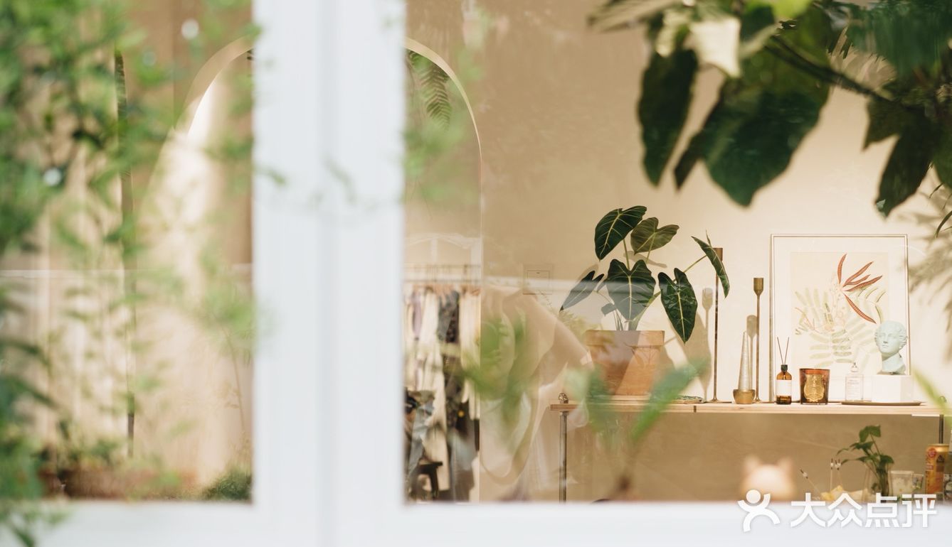 与植物生活在一起Ning's 