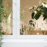 与植物生活在一起Ning's 