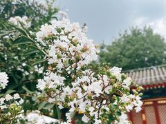 -恭王府博物馆