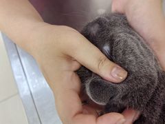 -美联众合动物医院·24h京西诊疗中心