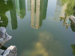 -陆家嘴中心绿地