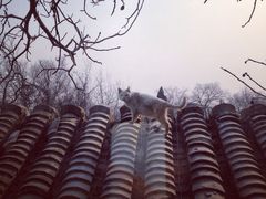 EATALIA(地安门店)-EATALIA意塔利意式餐厅(鼓楼店)