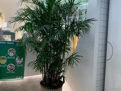 -Perma Café樸門(五羊店)