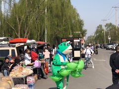-丁香湖公园