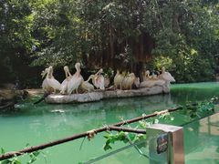 -珠海长隆海洋王国