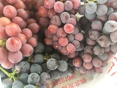 -庞各庄翠芳园西瓜蔬菜基地采摘园