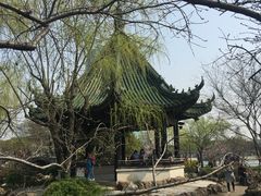 -无锡蠡湖国家湿地公园-蠡园
