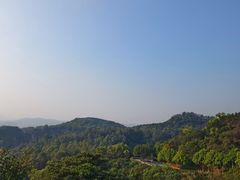 -火炉山森林公园