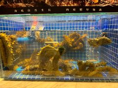 -川骄海鲜自助(河东店)