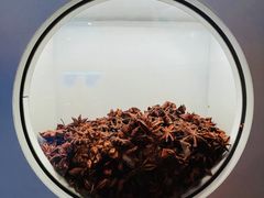 -辛香汇·现炒川菜(小寨原力场-西北首店)