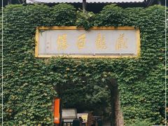 -藏龙百瀑风景区