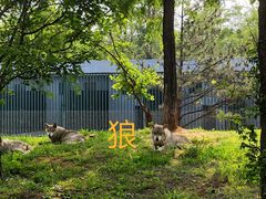 -秦皇岛野生动物园