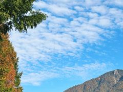 -光雾山旅游景区