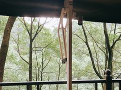 -巴倒烫陆派重庆火锅(南山店)