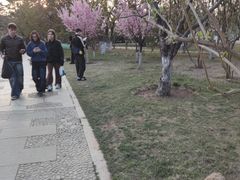-元大都城垣遗址公园