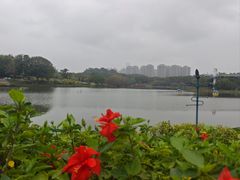 -东莞植物园