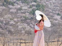 -白河堡水库