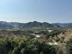 -新建村梅花