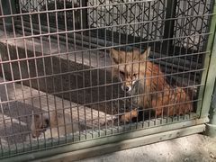 -宿豫区运河湾森林动物园
