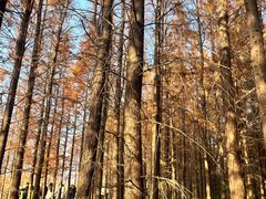 -云龙湖旅游景区