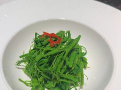 玉琅玕-觀芷隐轩