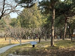 -长辛店二七公园