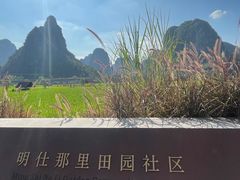 -明仕田园