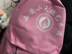 -西安小天鹅艺术团(金花路校区)