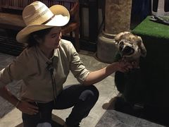 -清迈夜间动物园